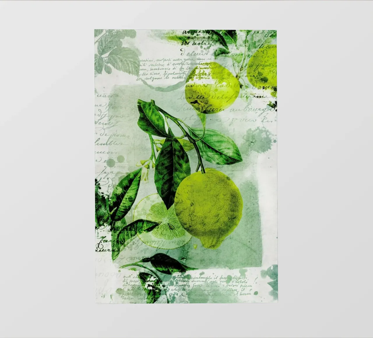 Botanic 1 pellicola backlit da Mr Cup