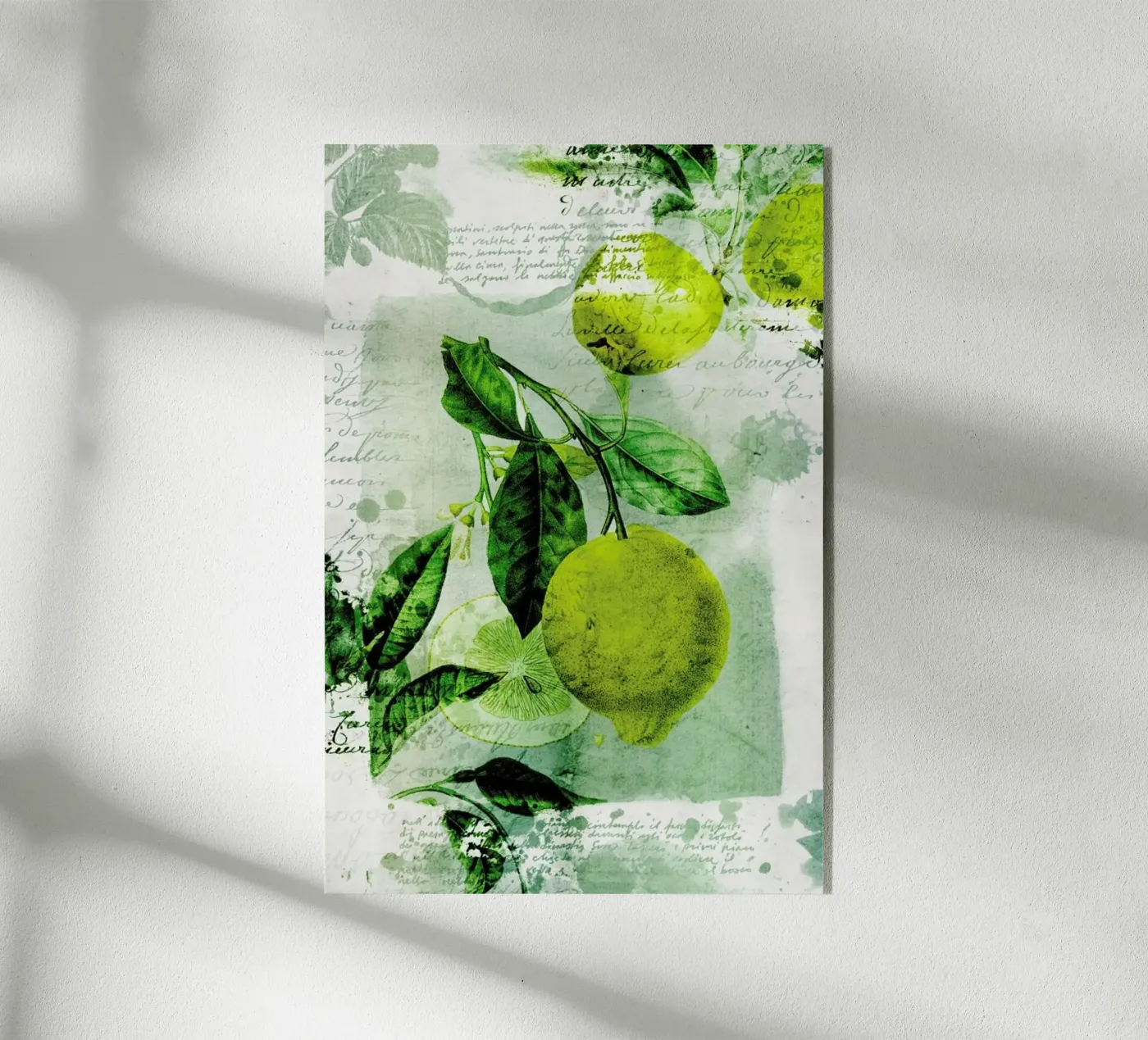 Botanic 1 plexiglas de Mr Cup