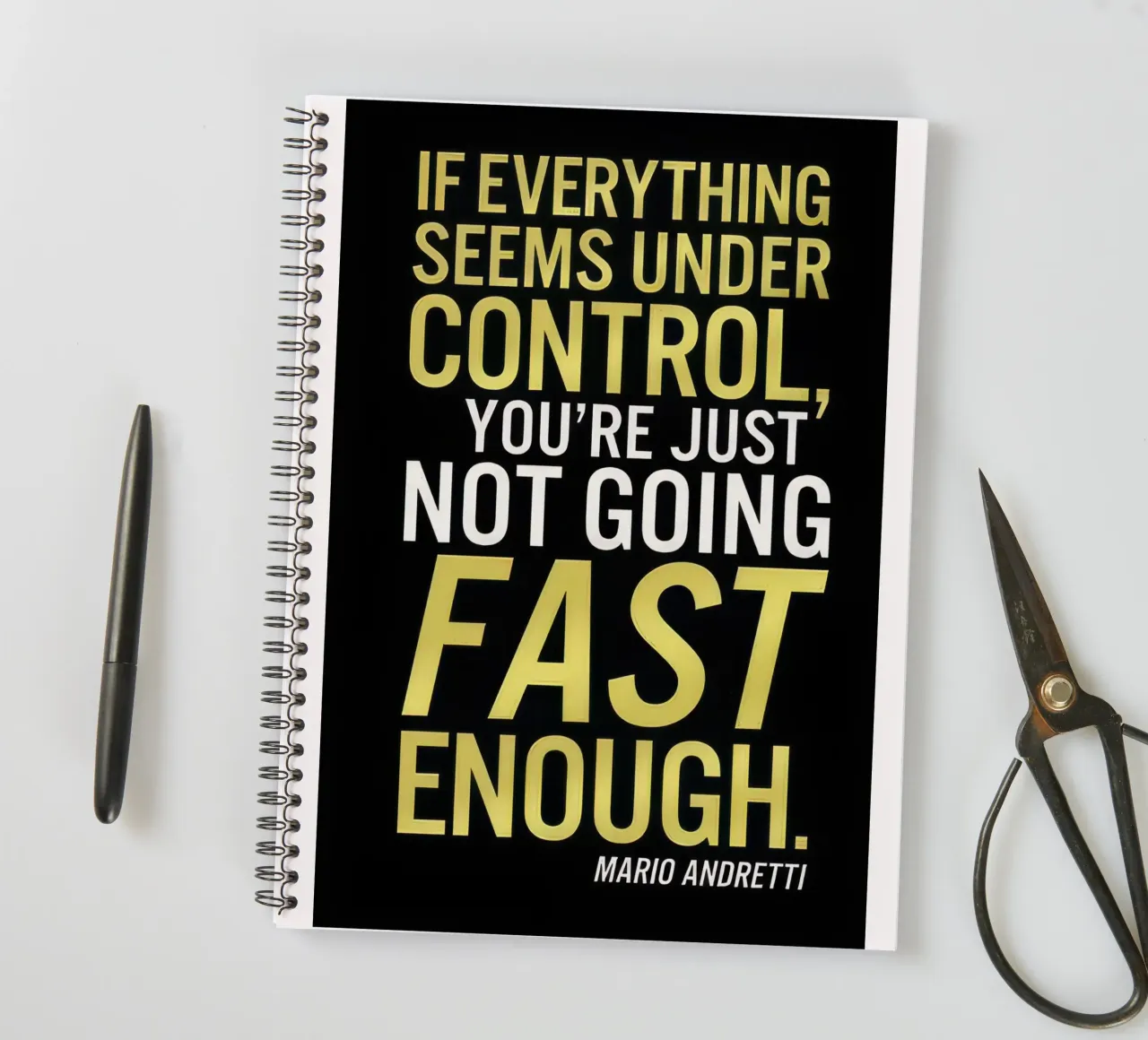 if everything seems under control .... spiral notebook by Rossa Sandra