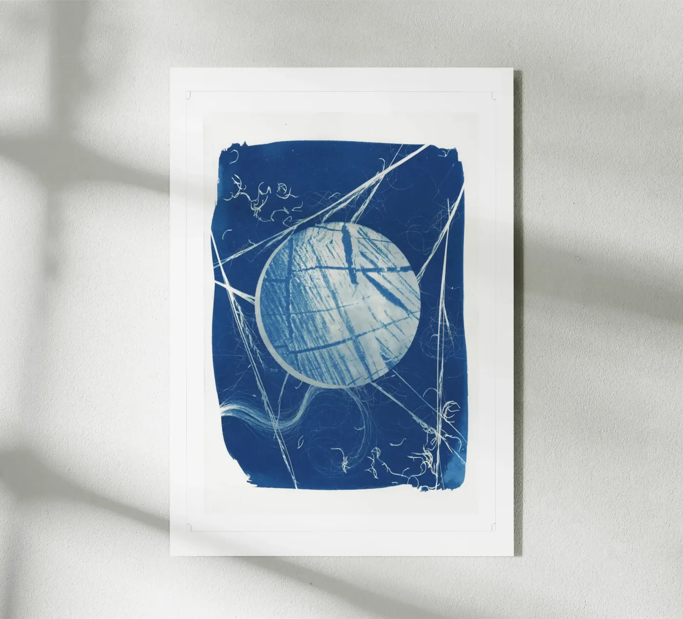 Cyanotype #2 plexiglas de Inge Hauser Illustration