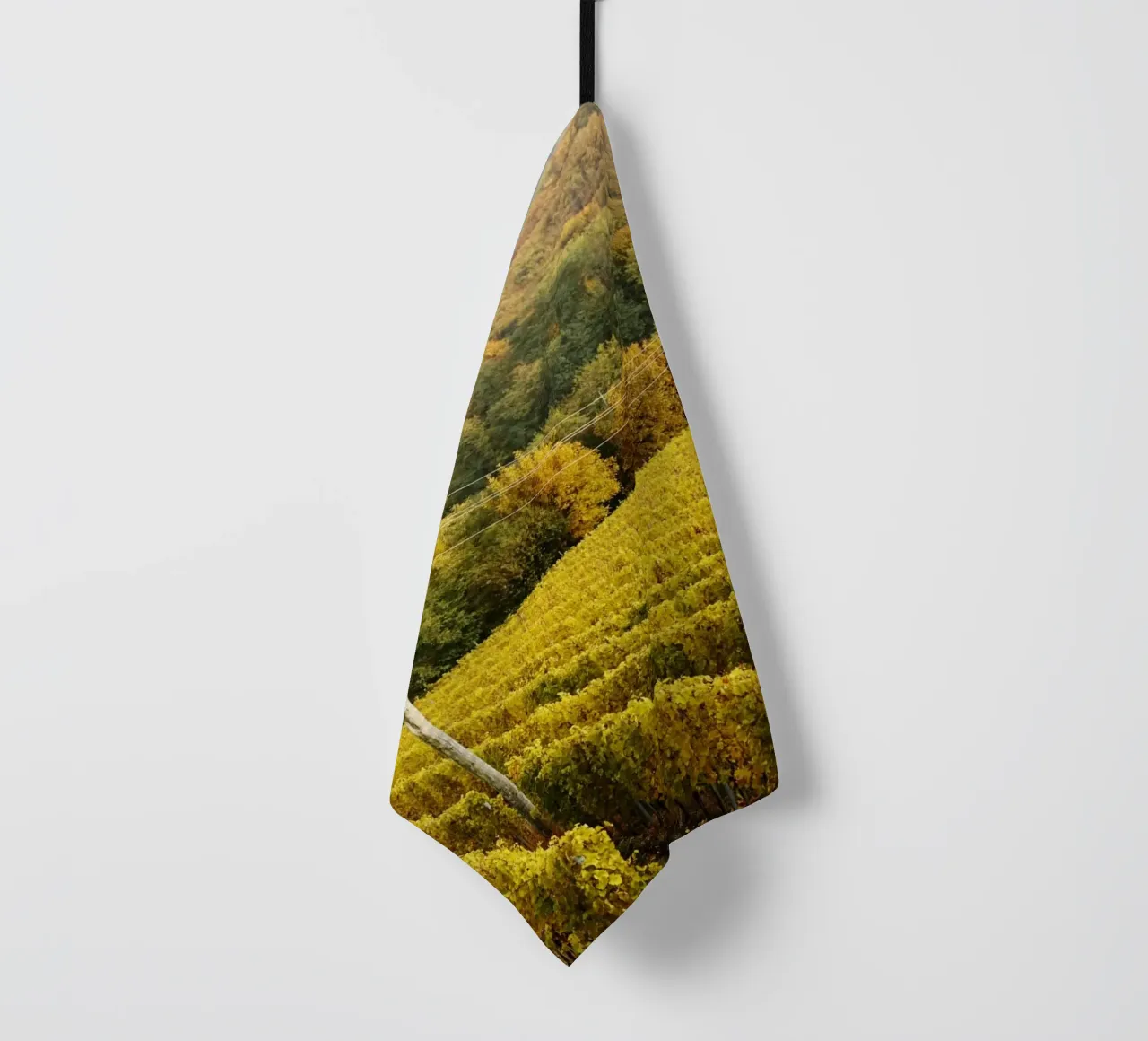 Vigneto a Gerusalemme, Slovenia canovaccio da cucina da Simon Koy
