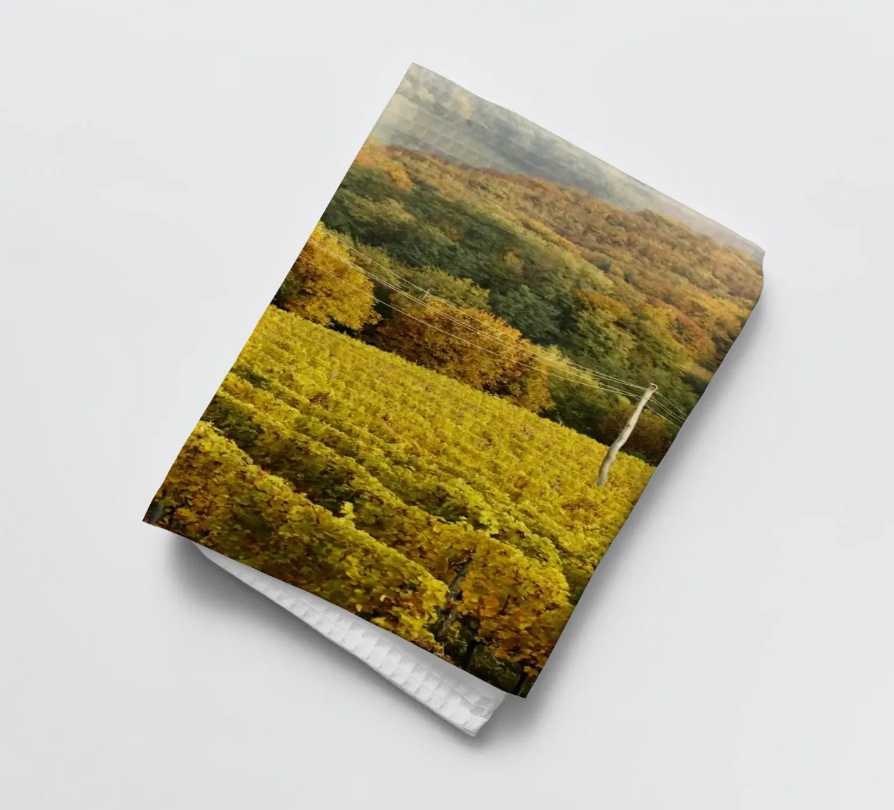 Vigneto a Gerusalemme, Slovenia canovaccio da cucina da Simon Koy