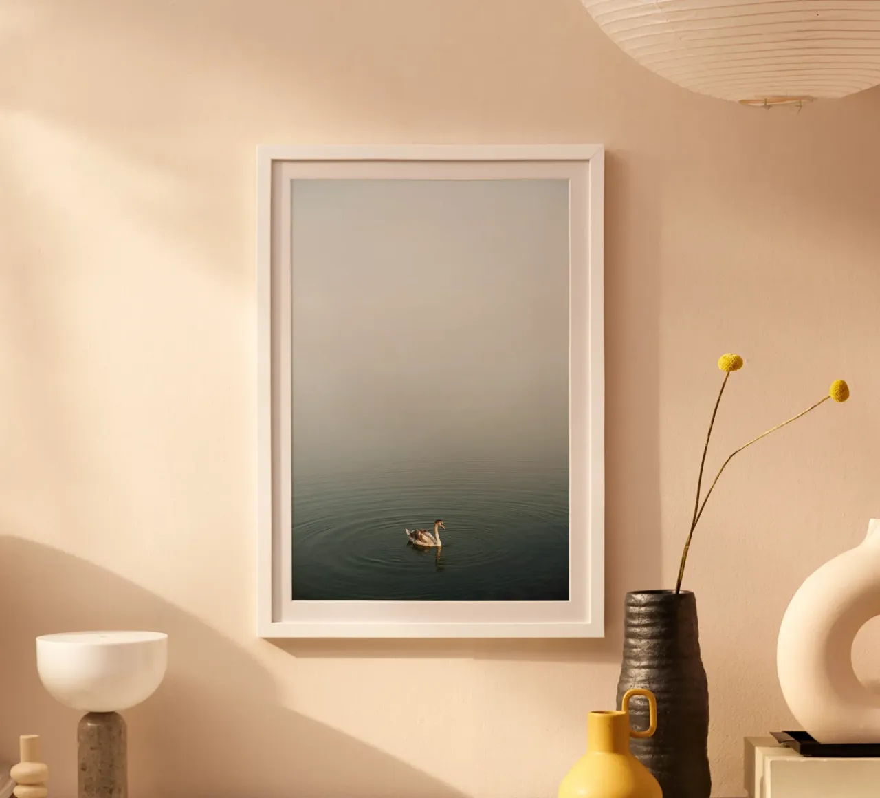Cigno sul lago Balaton, Ungheria carta hahnemühle da fotokunst