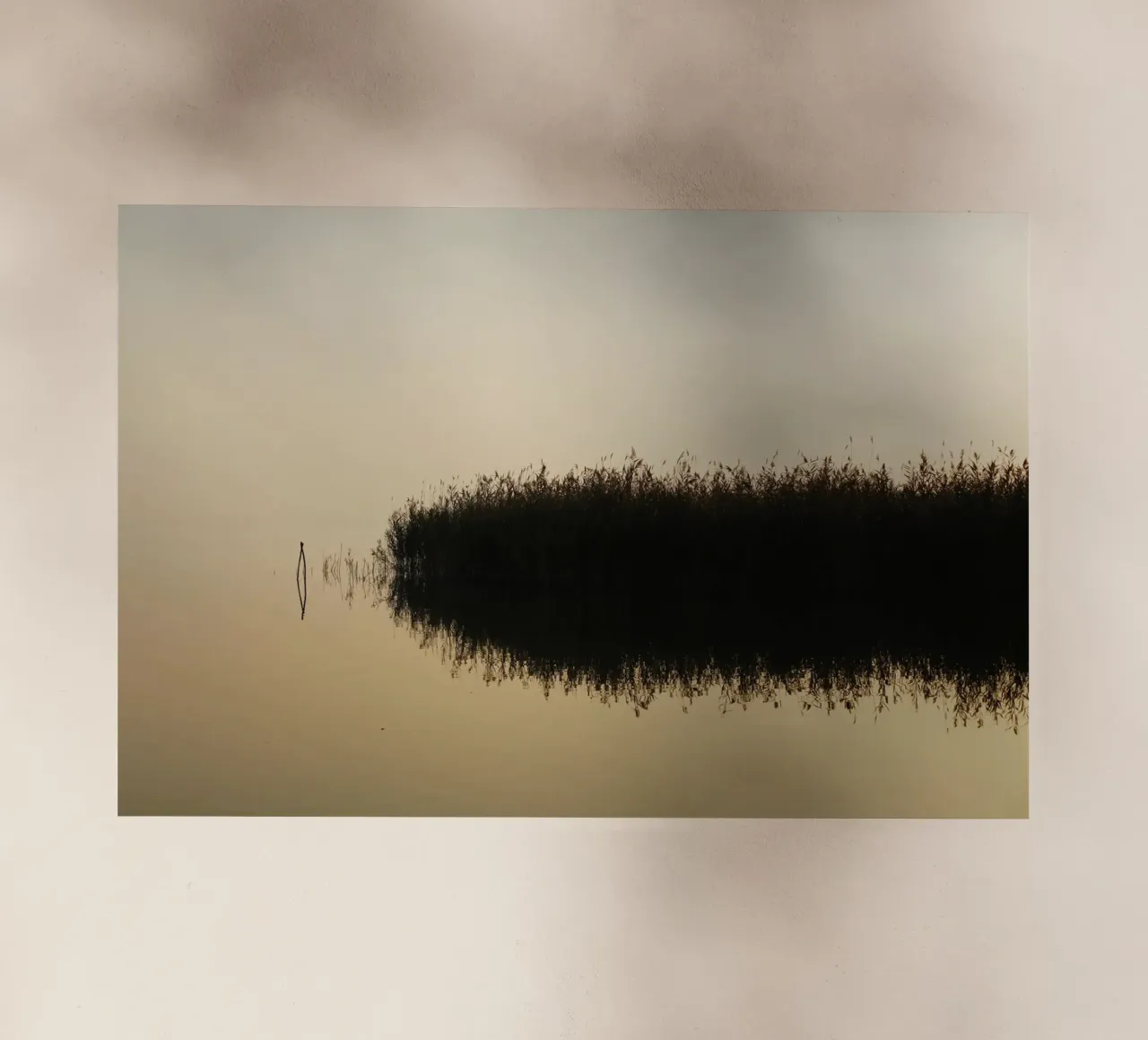 Tardo autunno sul lago Balaton, Ungheria pellicola backlit da Simon Koy