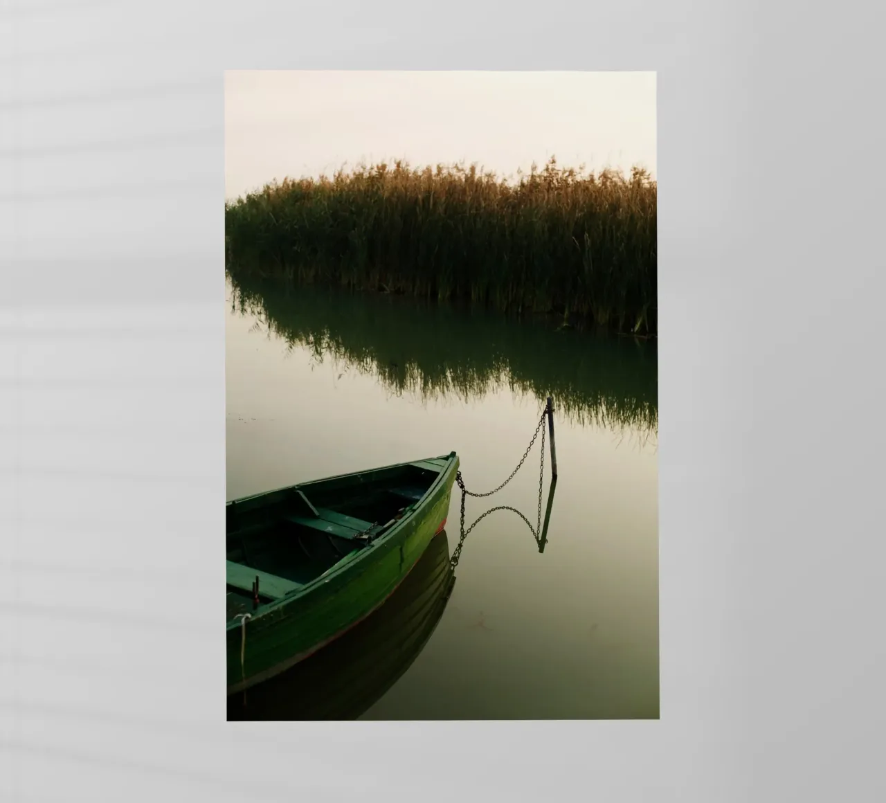 Riflesso sul lago Balaton, Ungheria pellicola backlit da Simon Koy