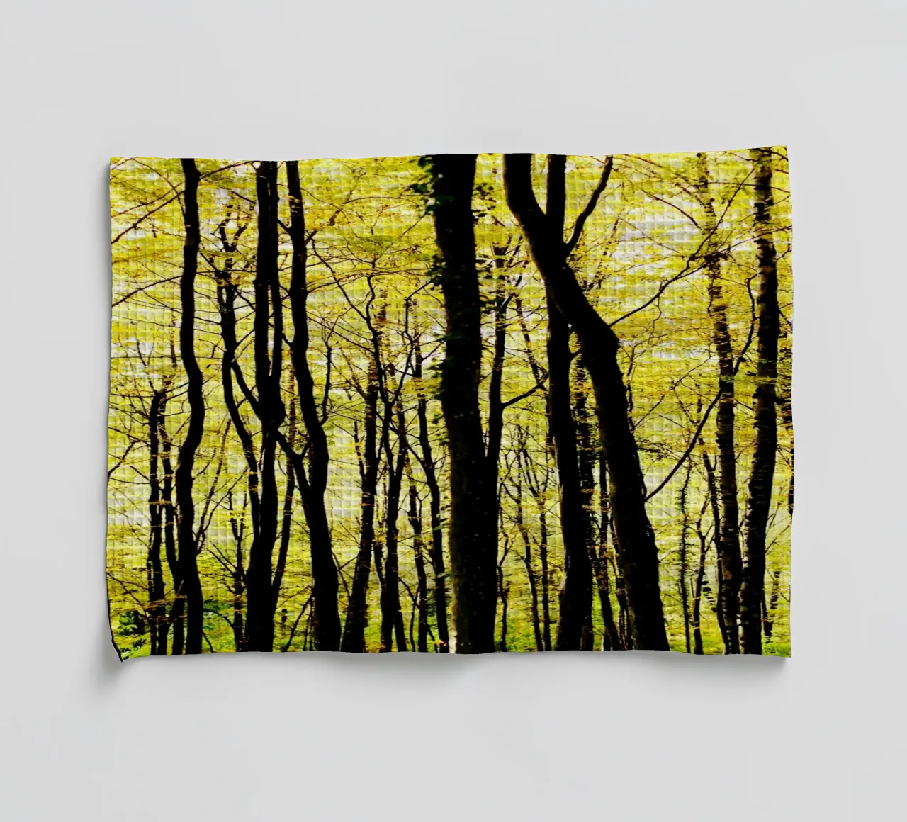 herbstlicher, grafischer Wald in slowenien Geschirrtuch von fotokunst