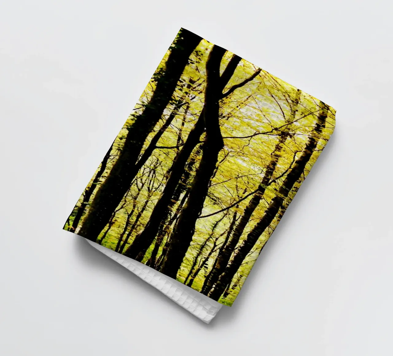herbstlicher, grafischer Wald in slowenien Geschirrtuch von fotokunst