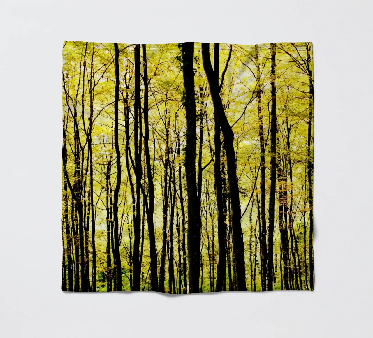 herbstlicher, grafischer Wald in slowenien Fleecedecke von fotokunst