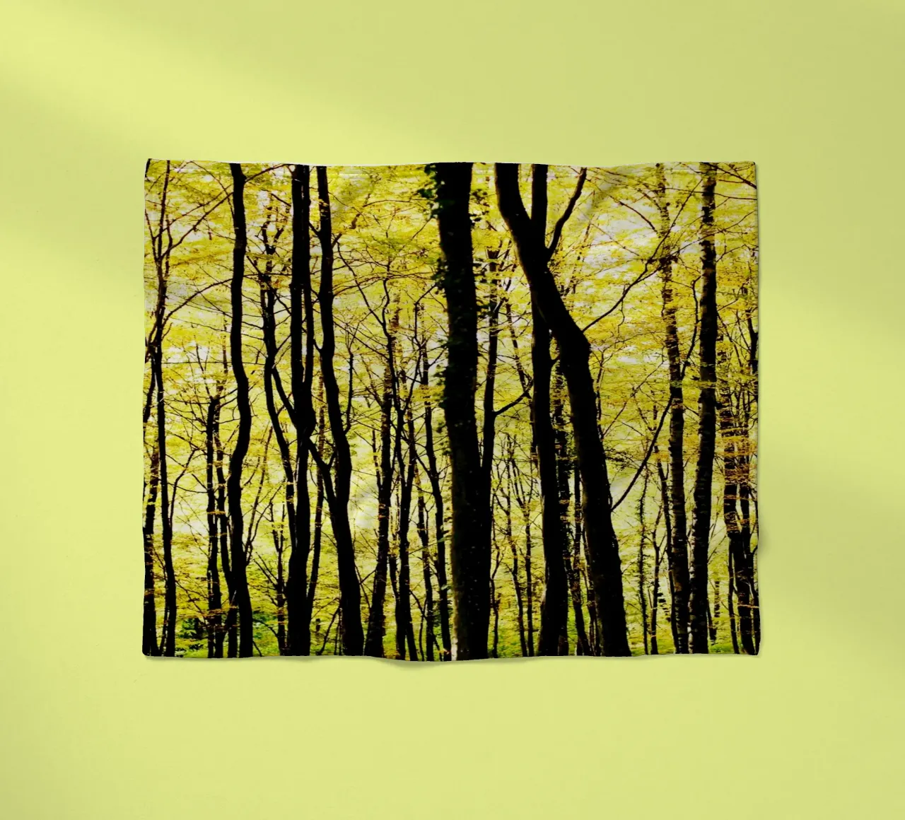 herbstlicher, grafischer Wald in slowenien Fleecedecke von fotokunst