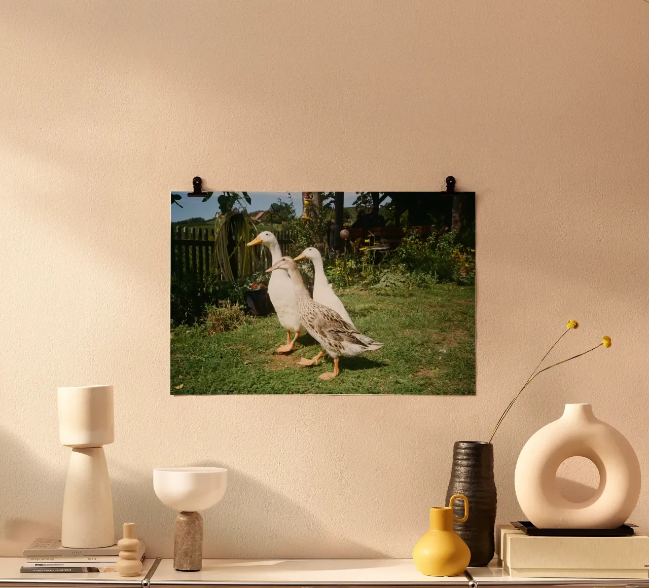 Duck LOF poster da LOF