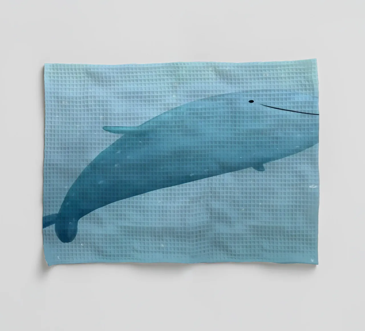 Mignon requin-baleine torchon de HARU HARU