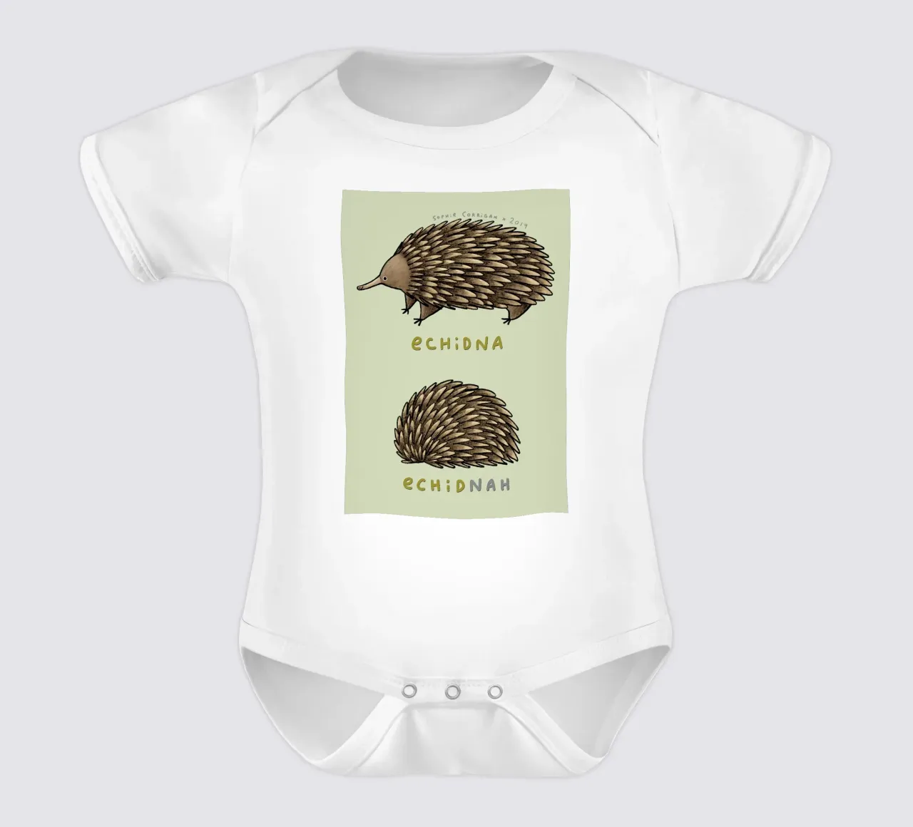 Echidna Echidnah body neonato maniche corte da HARU HARU