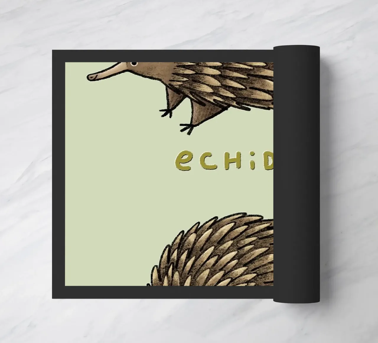 Echidna Echidnah zerbino da HARU HARU