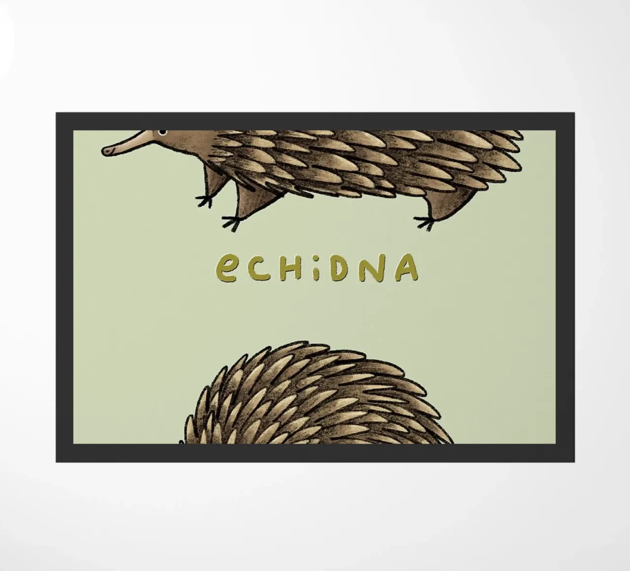 Echidna Echidnah zerbino da HARU HARU