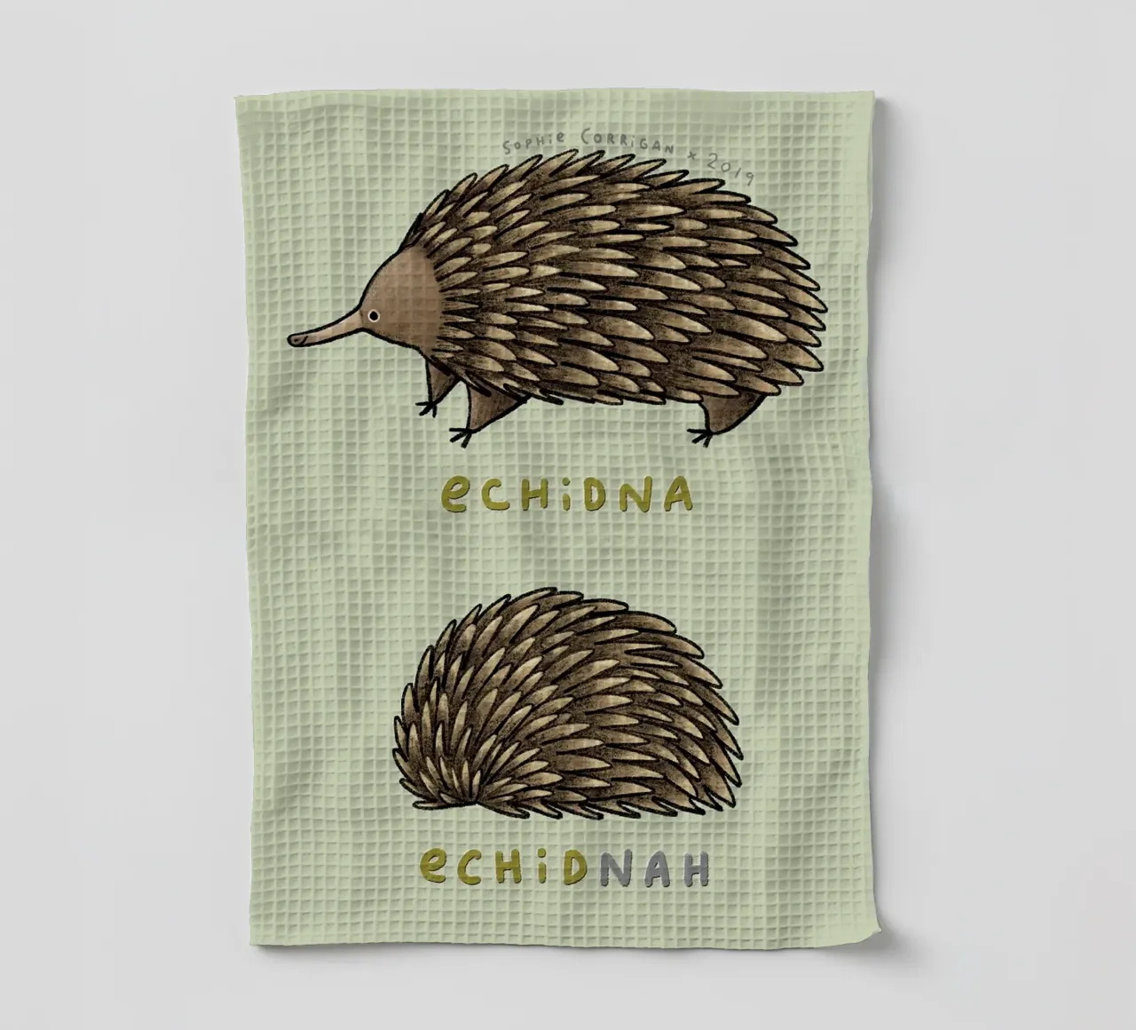 Echidna Echidnah canovaccio da cucina da HARU HARU