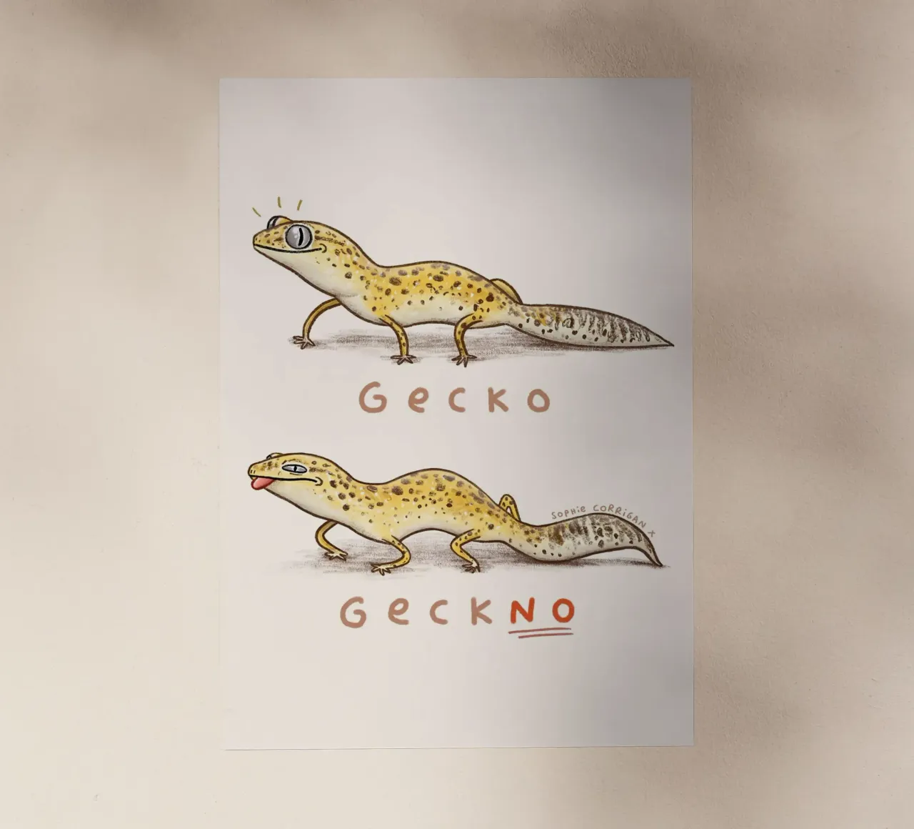 Geco Geckno pellicola backlit da HARU HARU