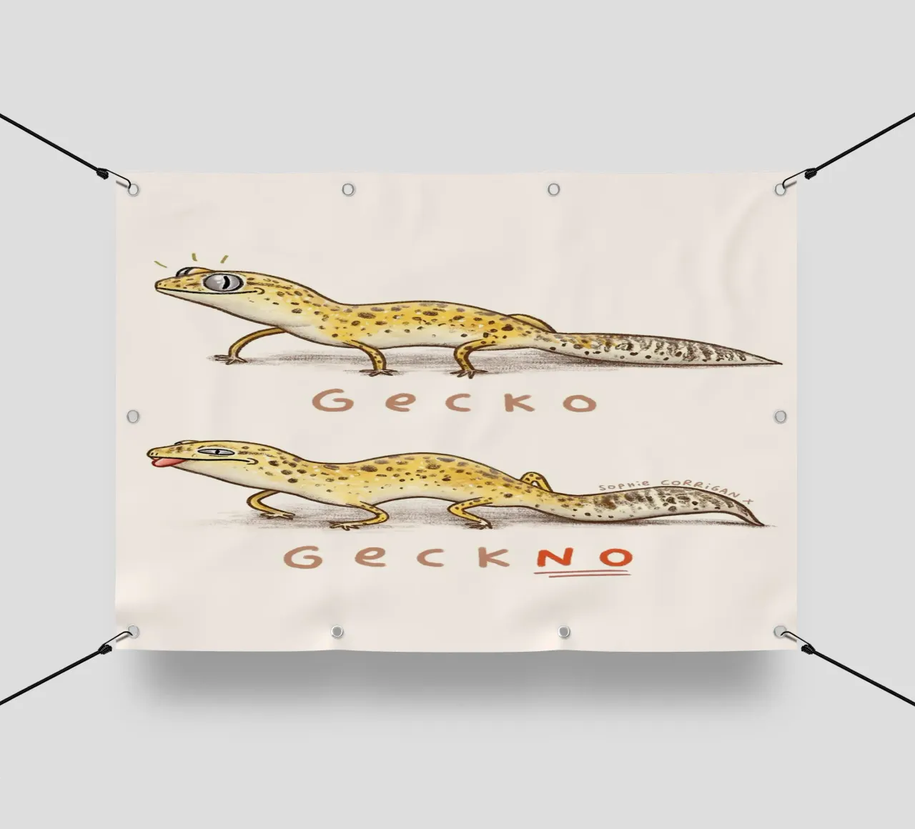 Geco Geckno telo in pvc da HARU HARU