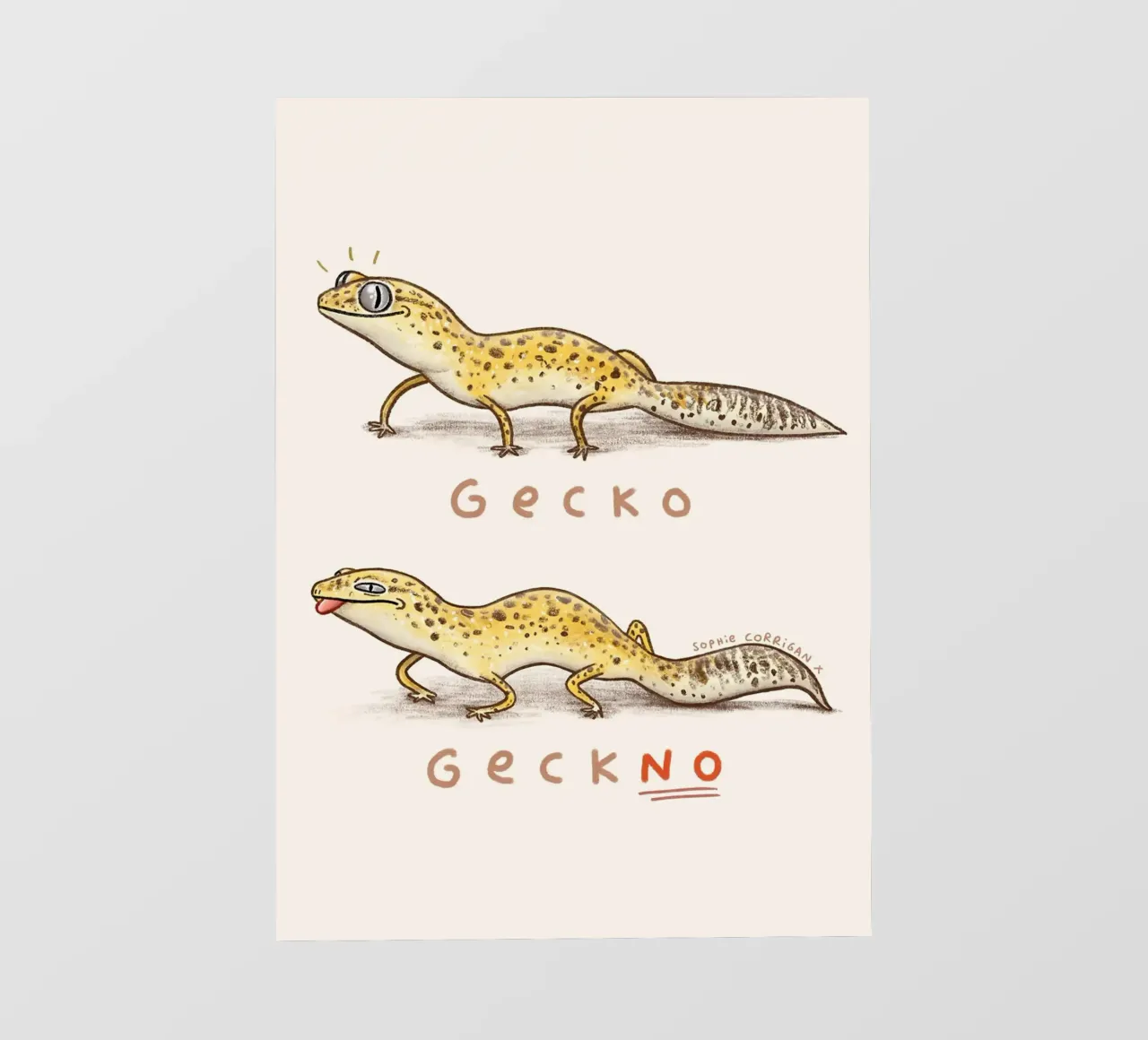 Geco Geckno telo in pvc da HARU HARU