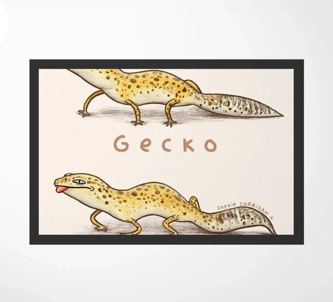 Geco Geckno zerbino da HARU HARU