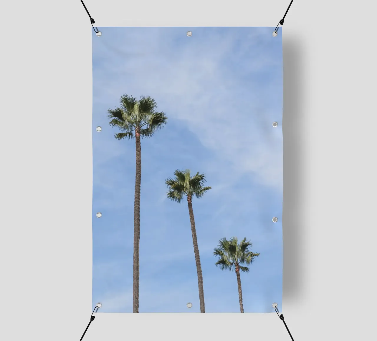 Tropical palm trees in Morocco telo in pvc da photolovers