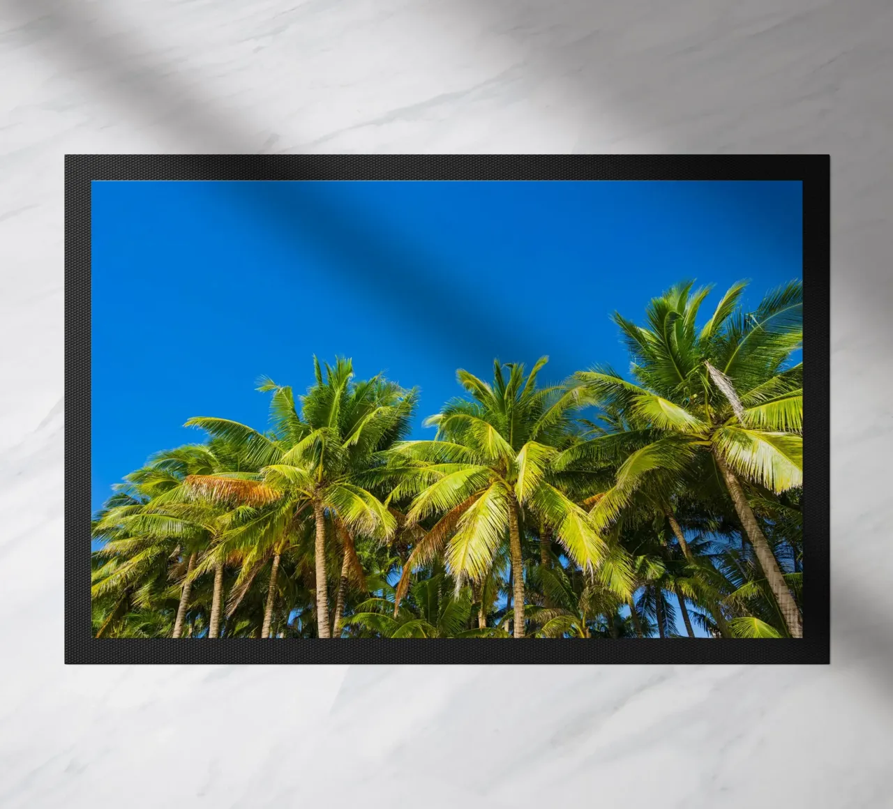 BORACAY 07 zerbino da Tom Uhlenberg