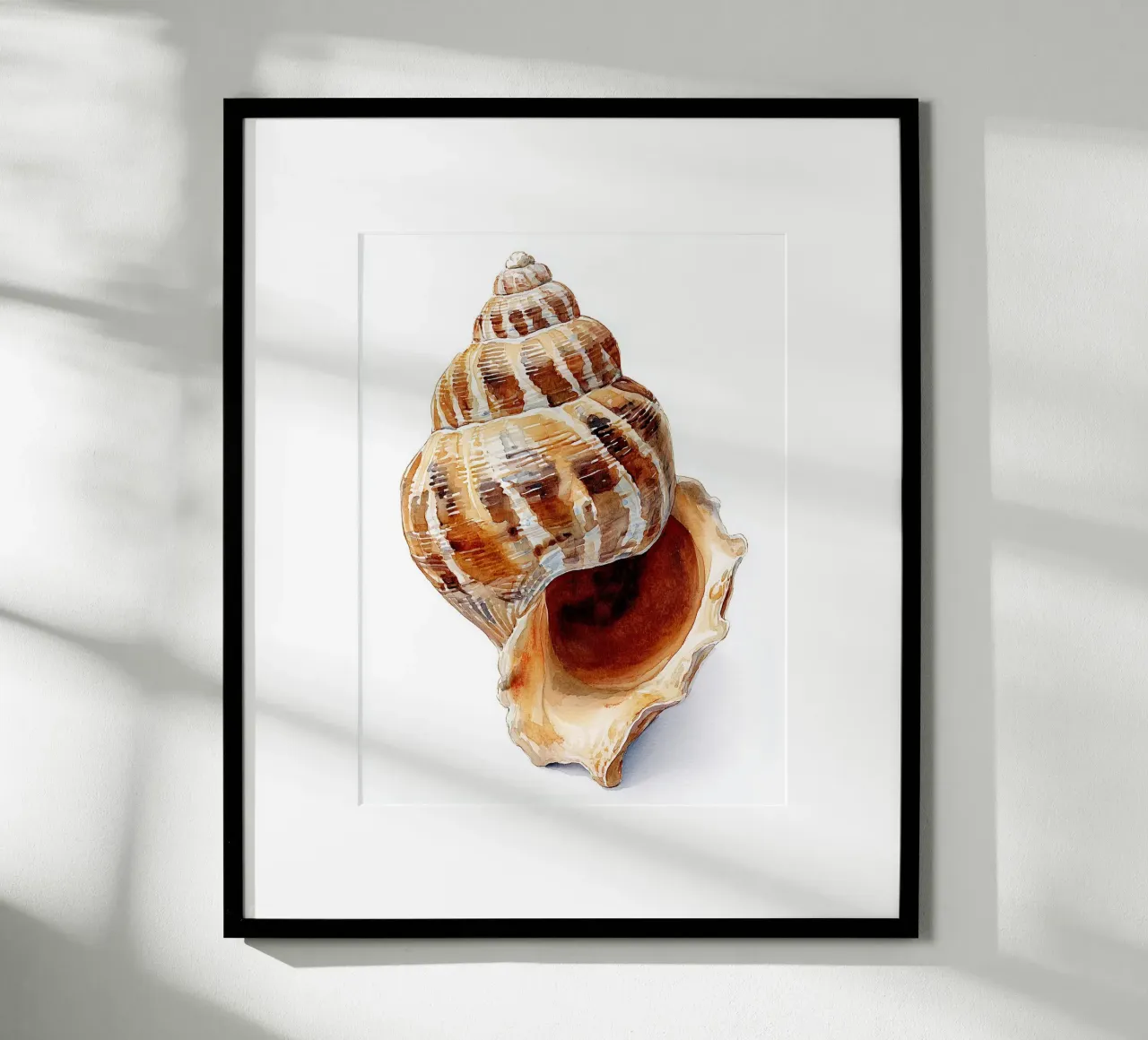 Poster con conchiglie per la cameretta dei bambini carta hahnemühle da Kid’s Dream