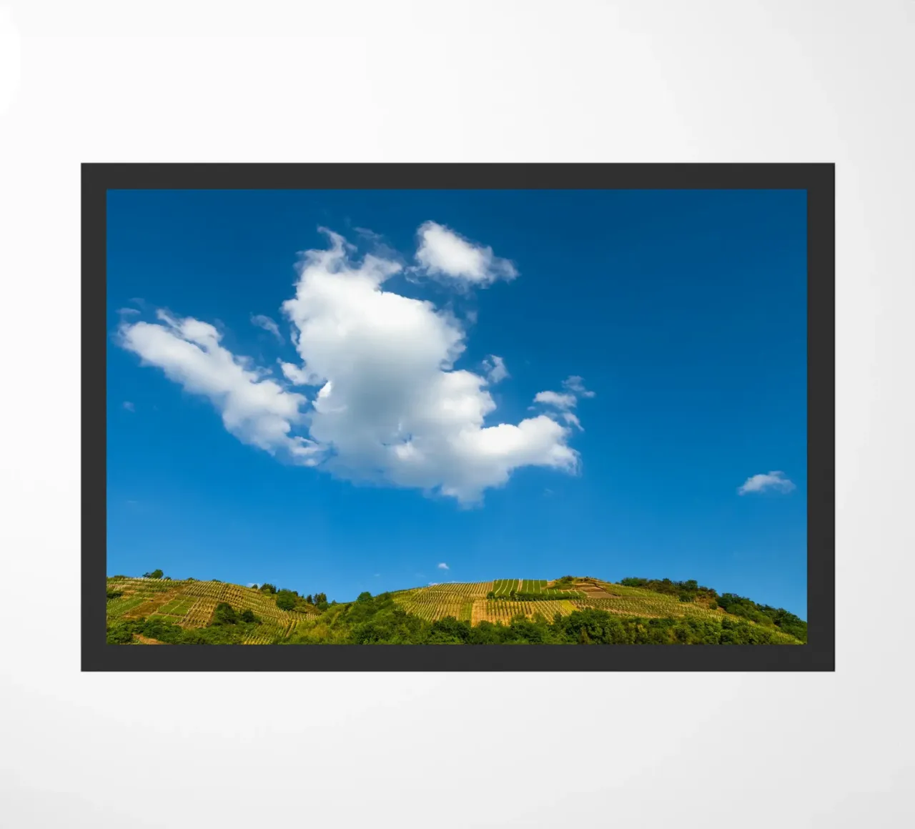 AHRTAL 02 zerbino da Tom Uhlenberg