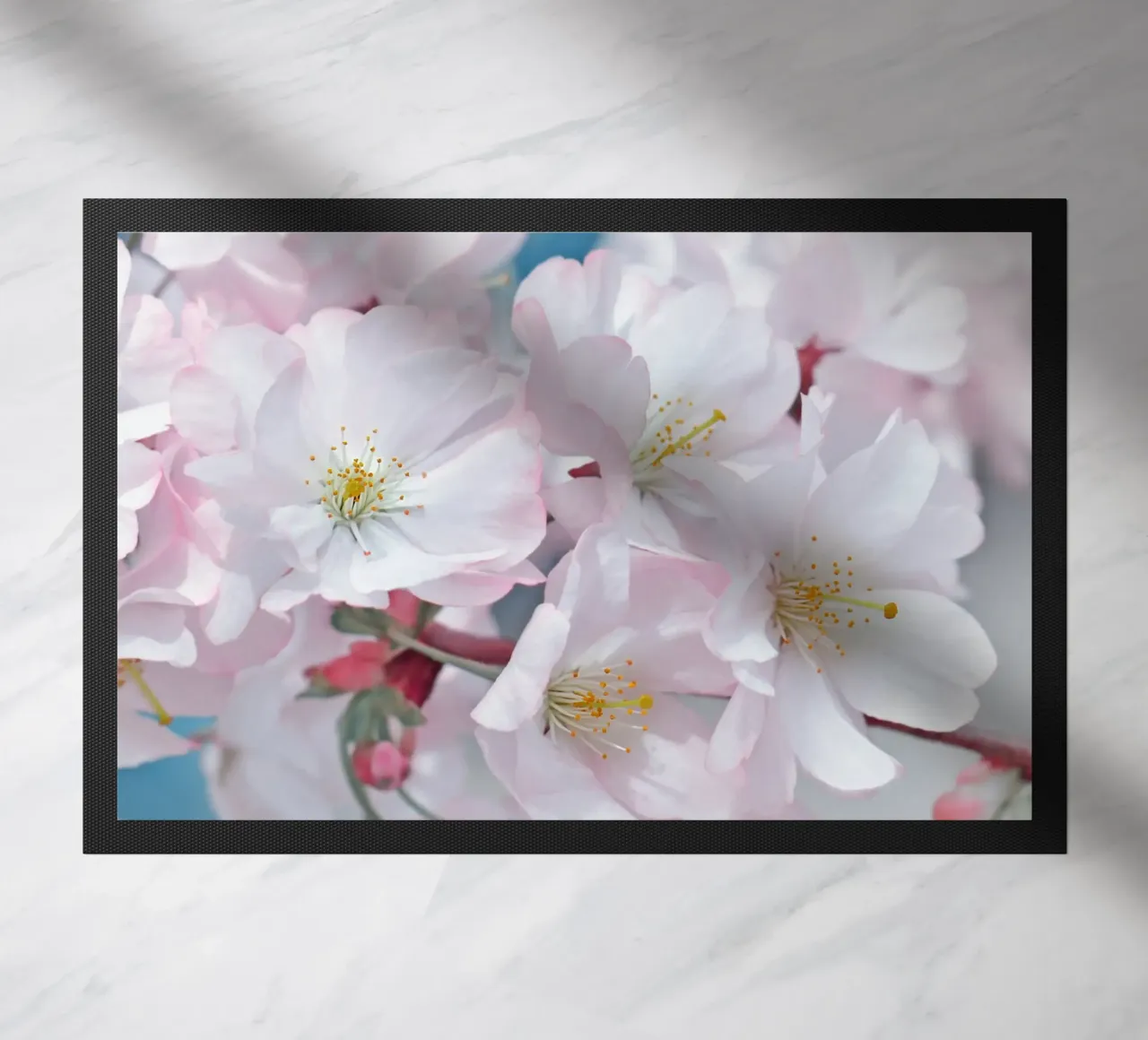 Fiori di ciliegio zerbino da Atteloi