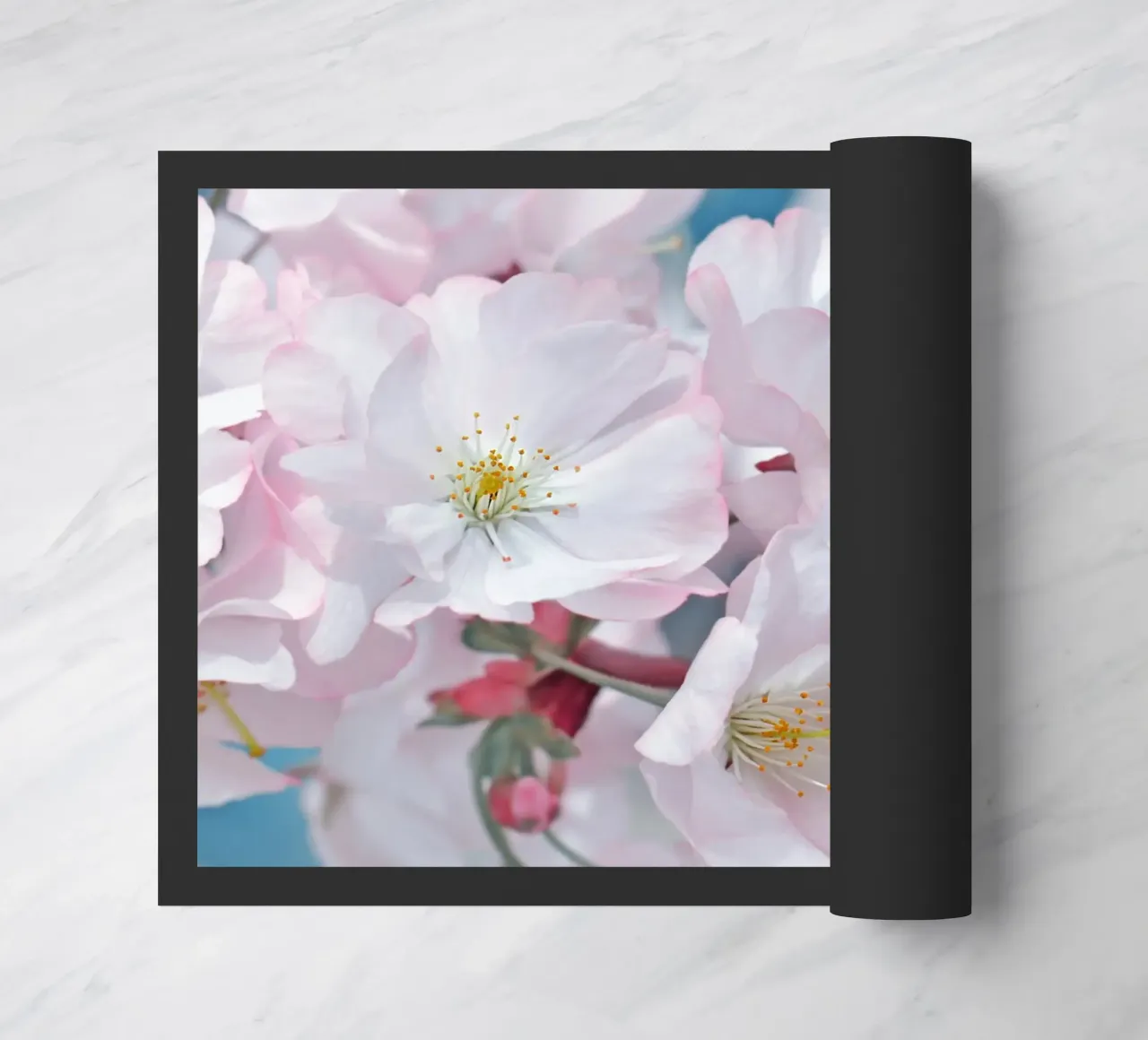 Fiori di ciliegio zerbino da Atteloi