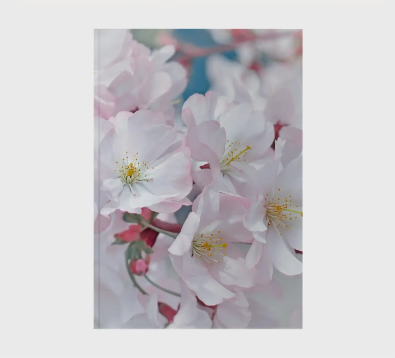 Spring notebook by Atteloi