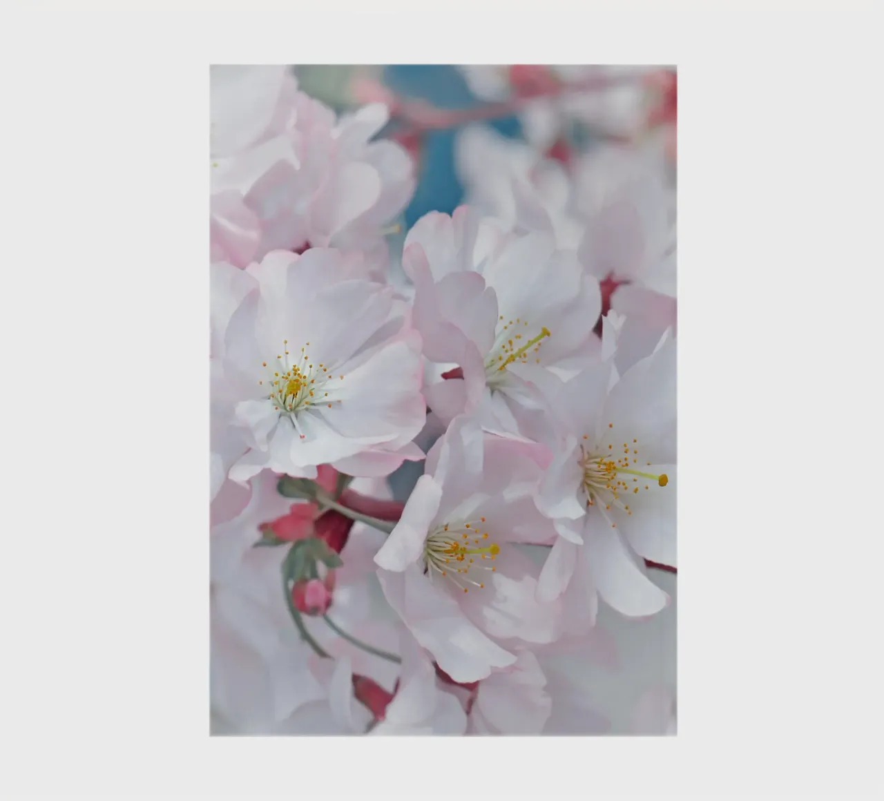 Spring notebook by Atteloi