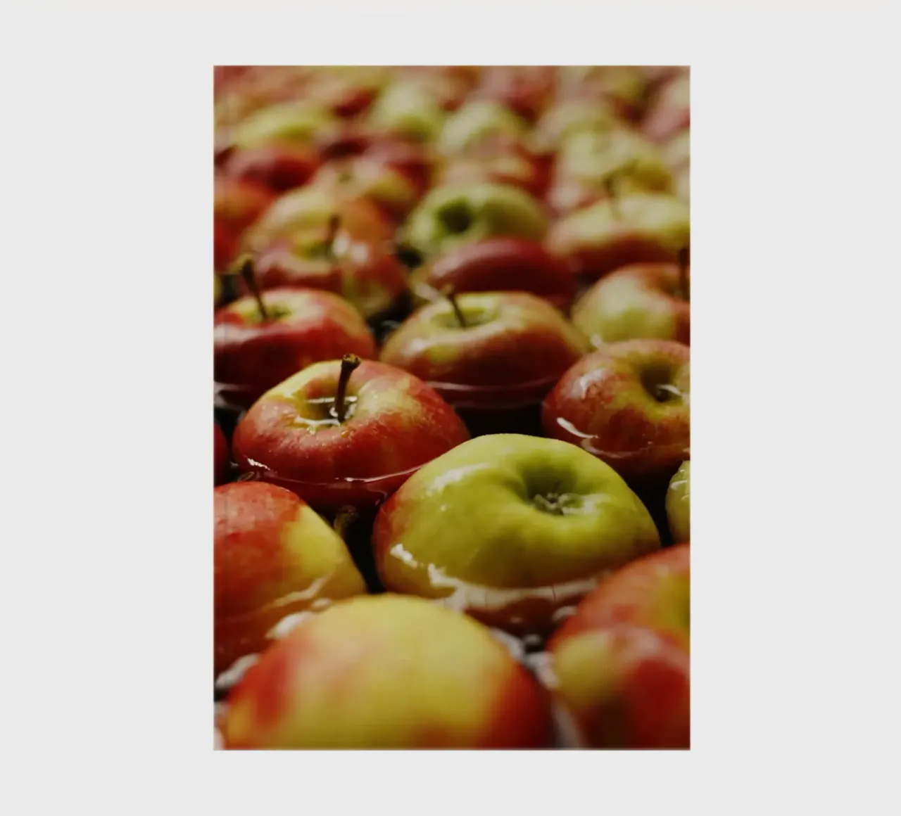 Apples from Lake Constance, Kressbronn notebook by fotokunst