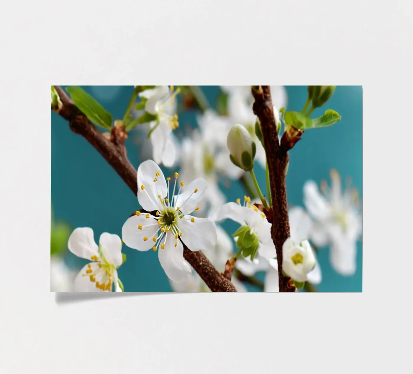 Frühling Stickerbogen von Atteloi