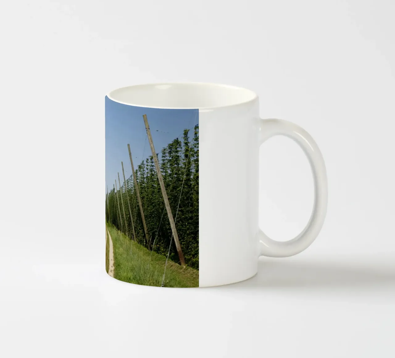 Campo di luppolo, Baviera tazza in ceramica da Simon Koy