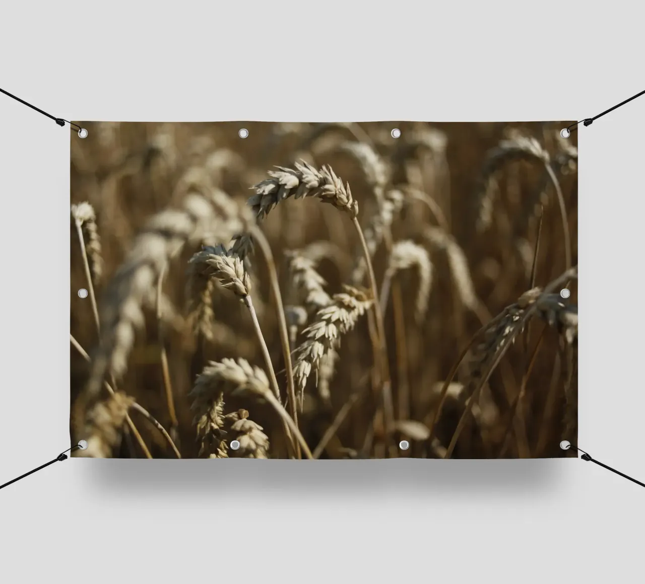 Campo di grano in Baviera telo in pvc da Simon Koy