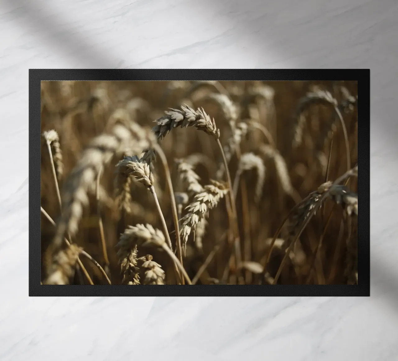 Campo di grano in Baviera zerbino da Simon Koy