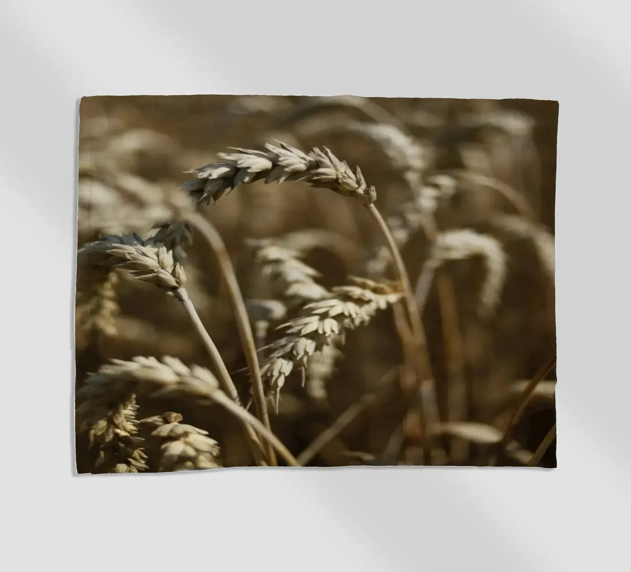 Campo di grano in Baviera telo mare da Simon Koy