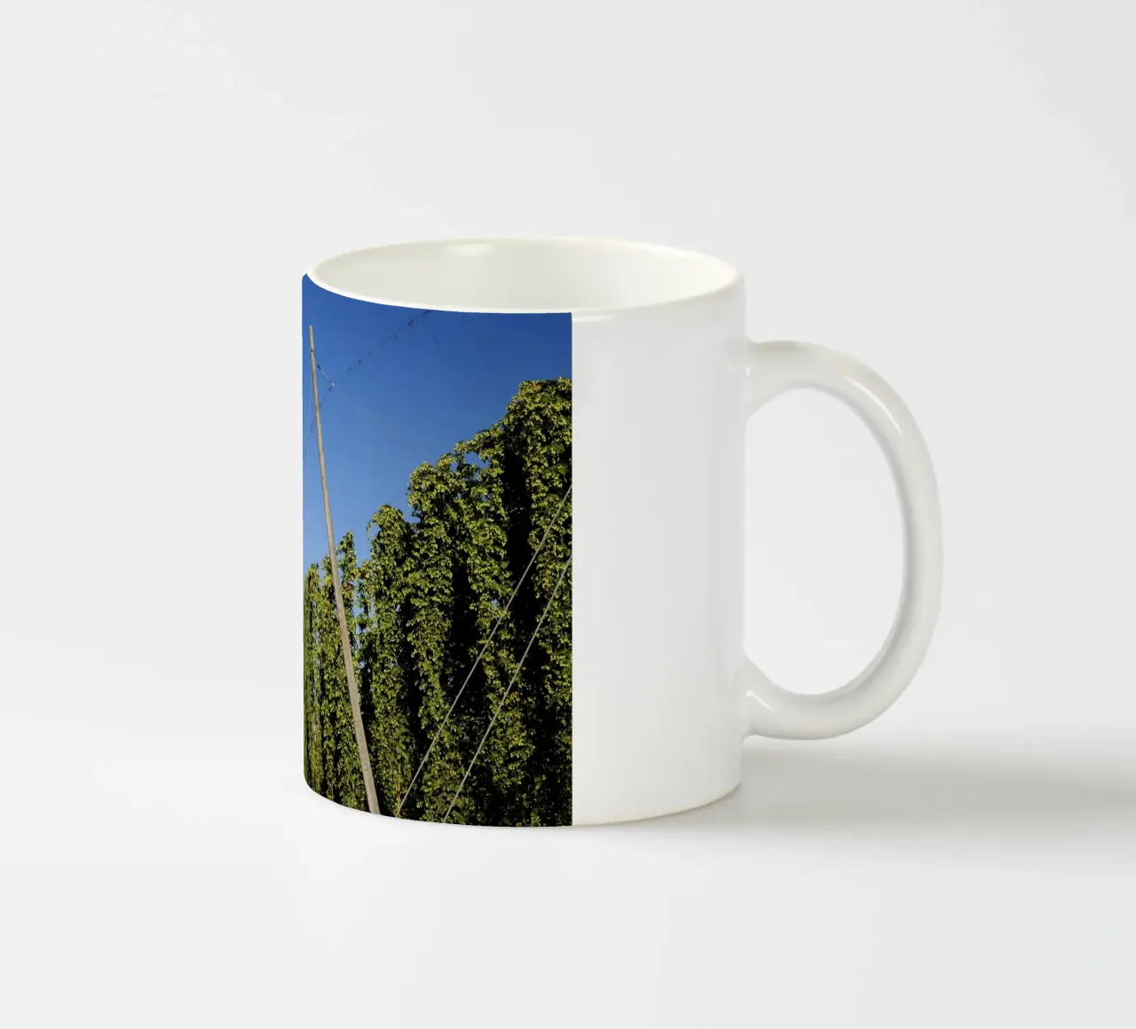 Campo di luppolo in Baviera tazza in ceramica da Simon Koy