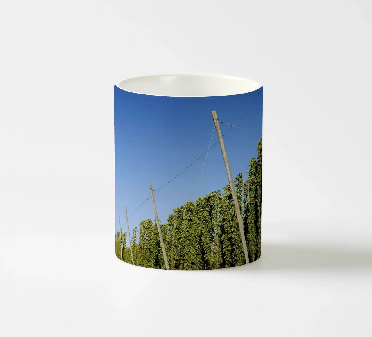 Campo di luppolo in Baviera tazza in ceramica da Simon Koy