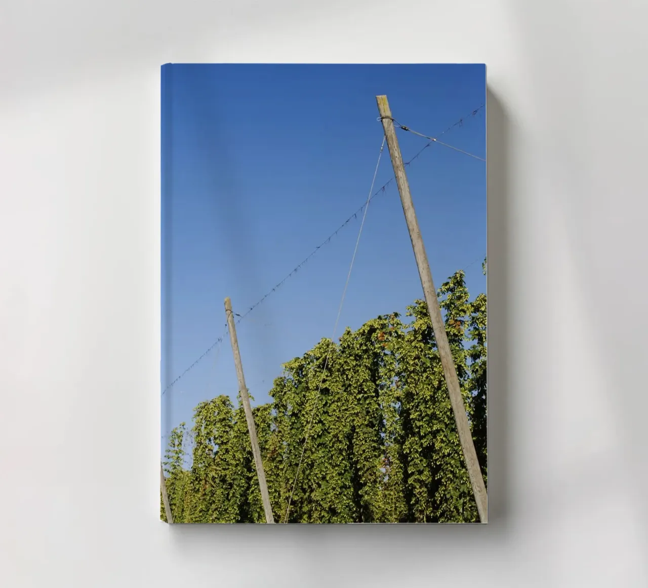 Hop field in Bavaria notebook by Simon Koy