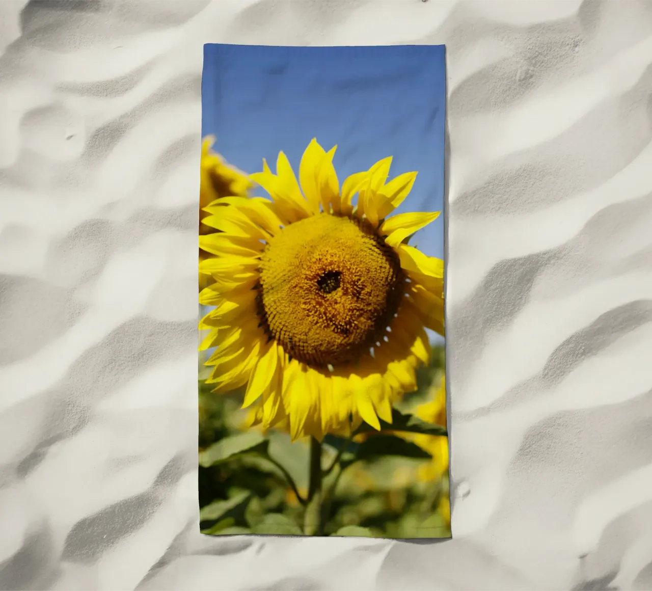 Girasole, Baviera telo mare da fotokunst