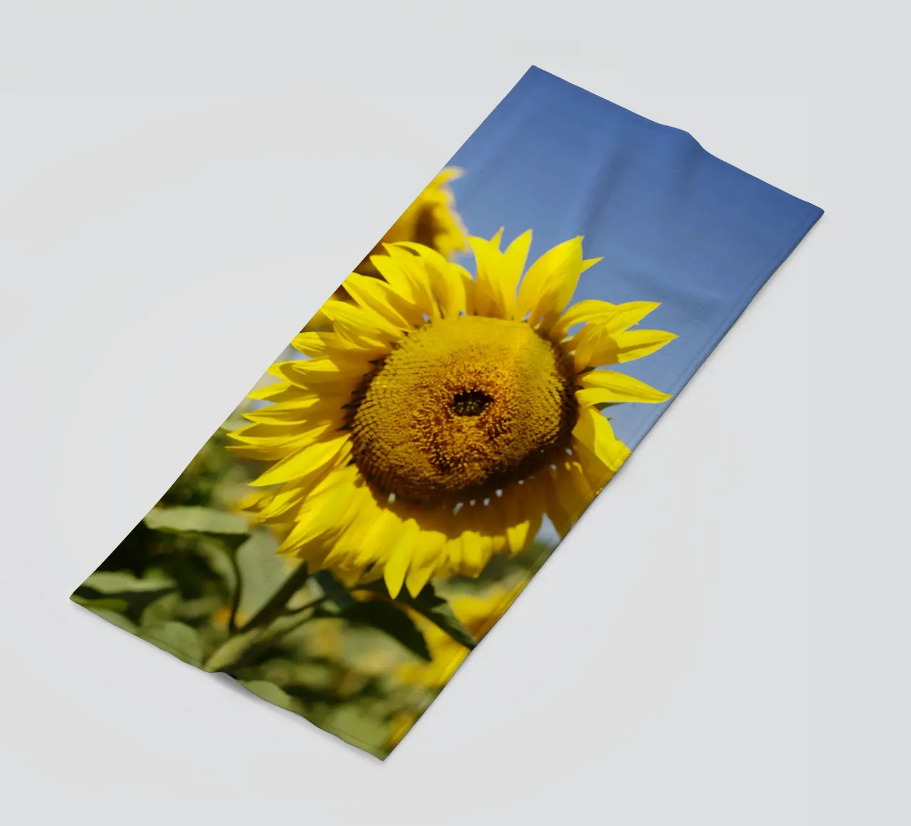 Girasole, Baviera telo mare da fotokunst