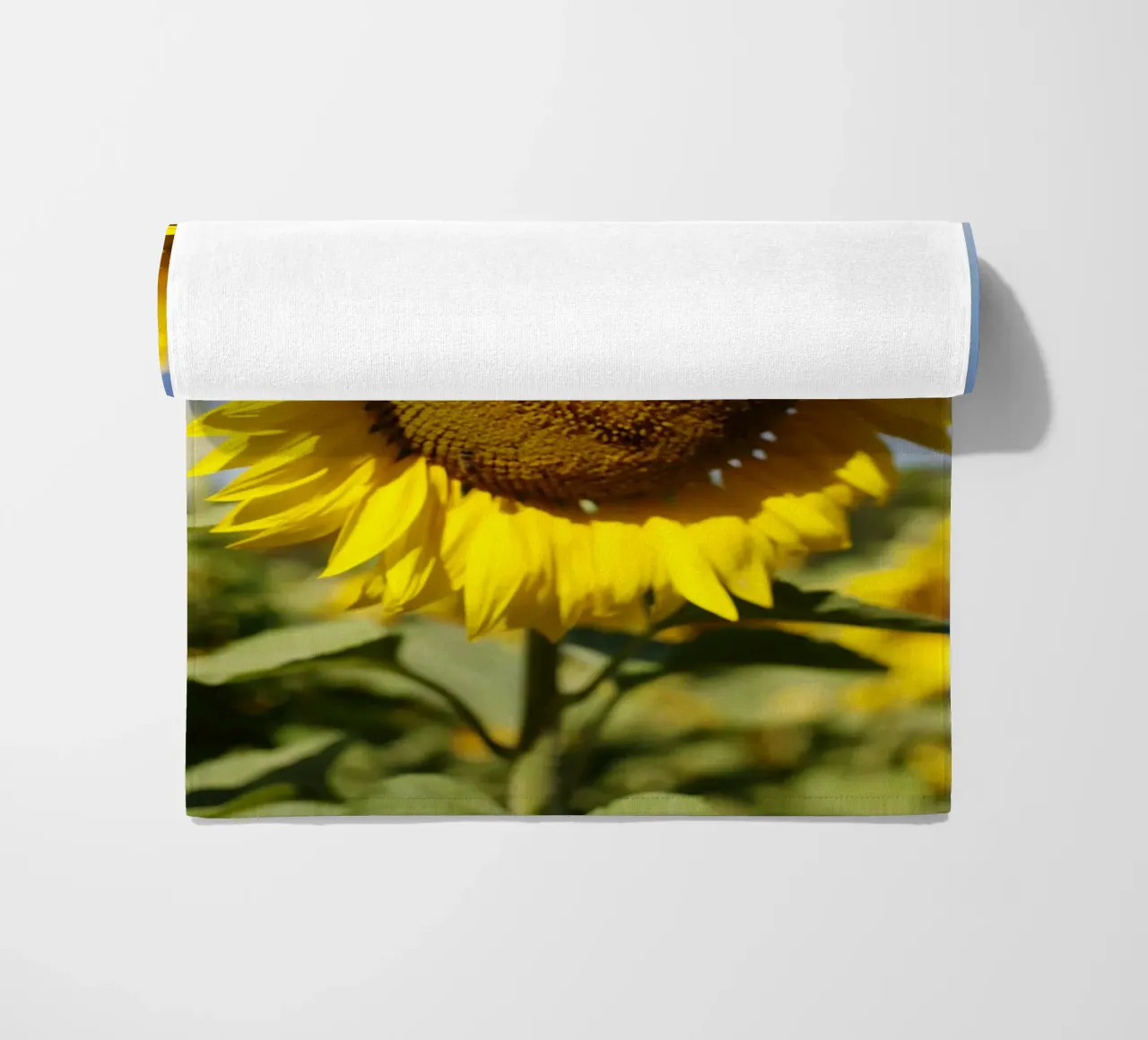 Girasole, Baviera telo mare da fotokunst