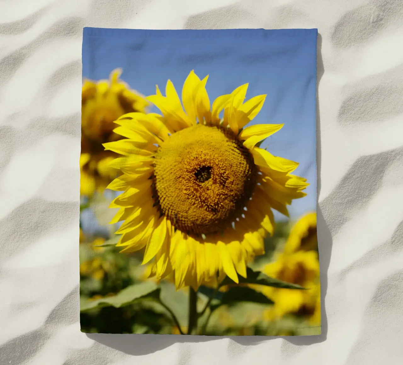 Girasole, Baviera telo mare da fotokunst