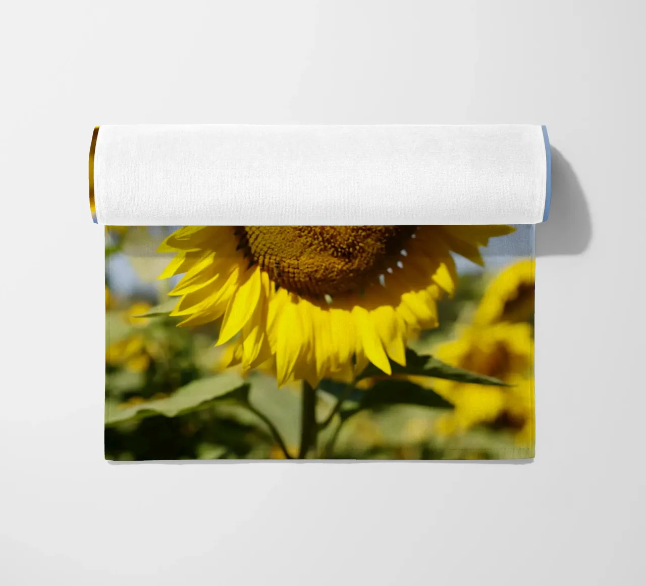 Girasole, Baviera telo mare da fotokunst