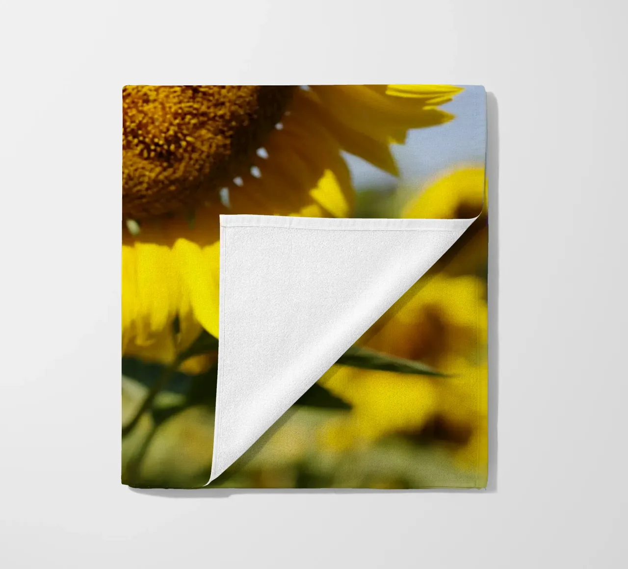Girasole, Baviera telo mare da fotokunst