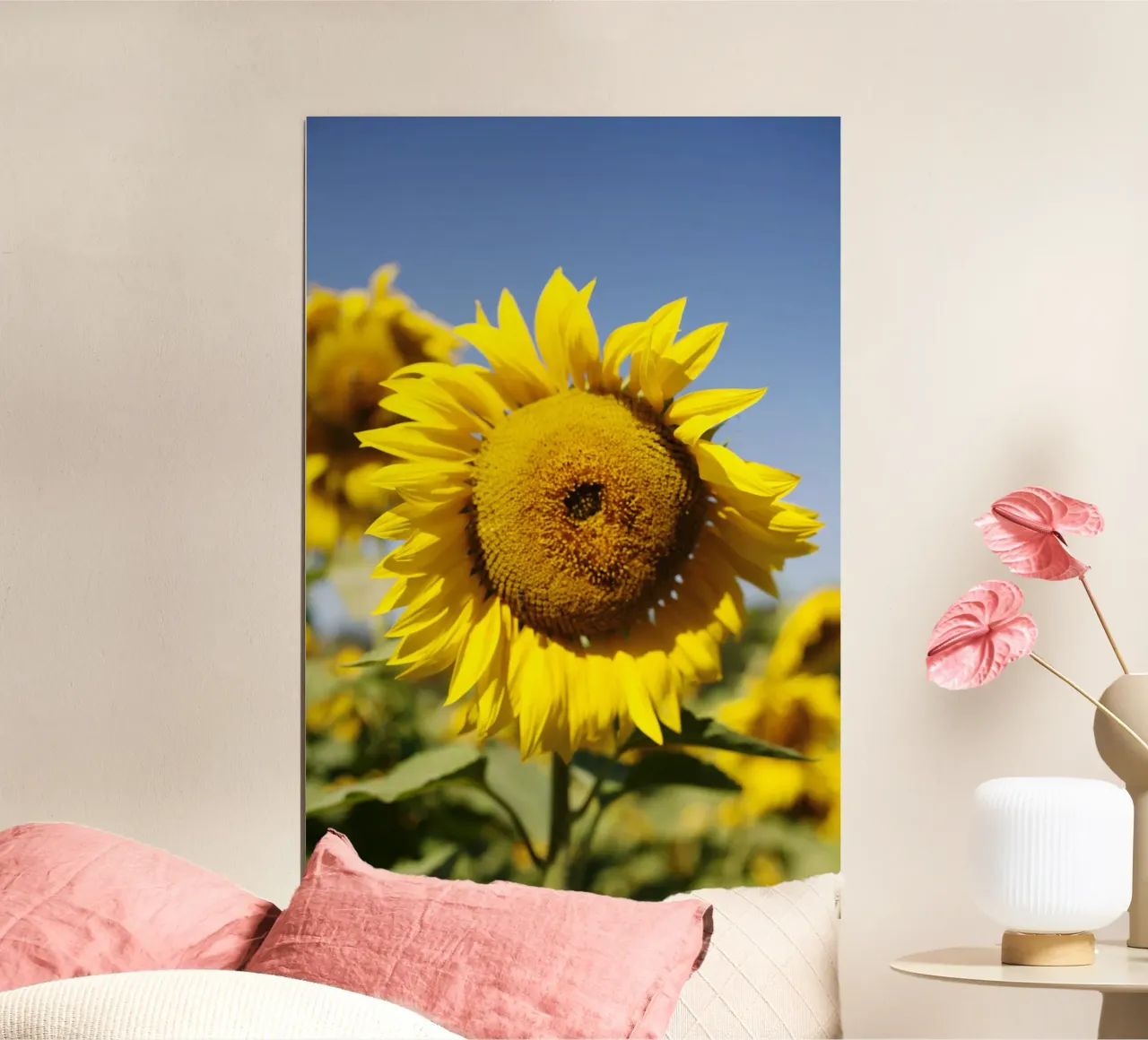 Girasole, Baviera carta hahnemühle da fotokunst
