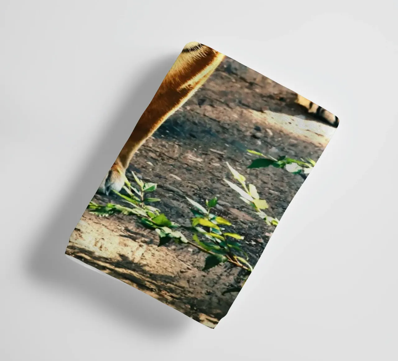 Brave as a tiger, conquer all challenges towel by Nature's Palette