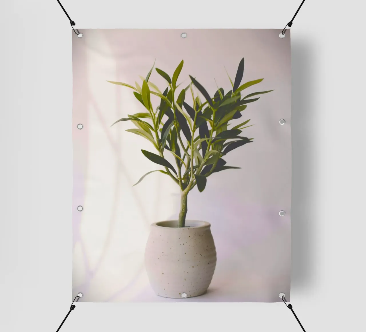 Vaso di ulivo - simbolo di pace e prosperità telo in pvc da Nature's Palette