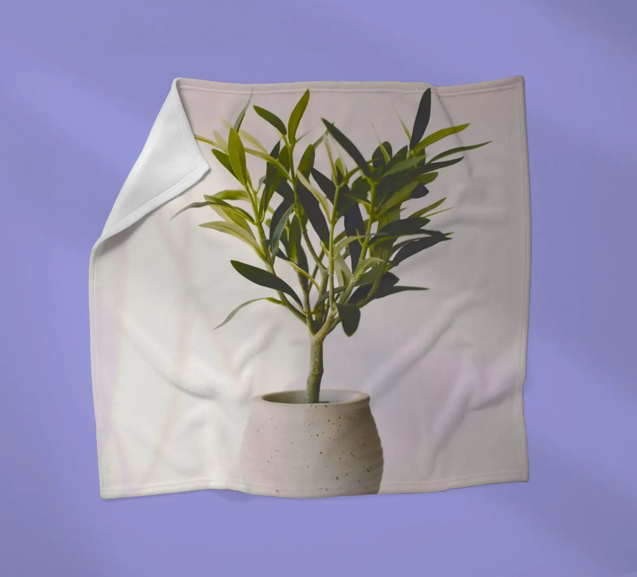 Vaso di ulivo - simbolo di pace e prosperità coperta in pile da Nature's Palette